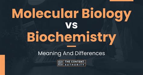molecular biology vs biochemistry